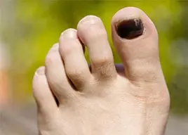 c19_largejpg - Dr. Scholl's™ UK